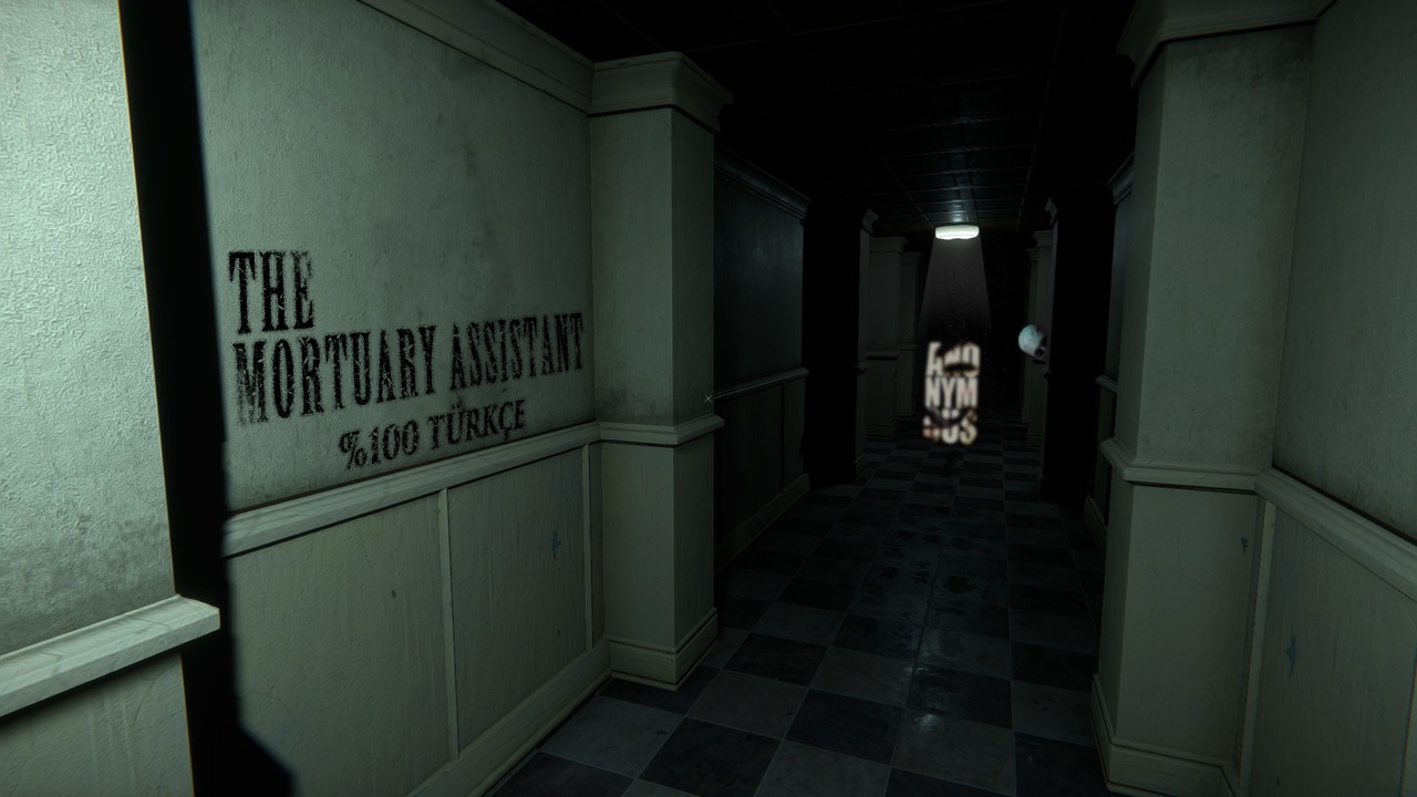 The Mortuary Assistant Türkçe Yaması Yayınlandı!
